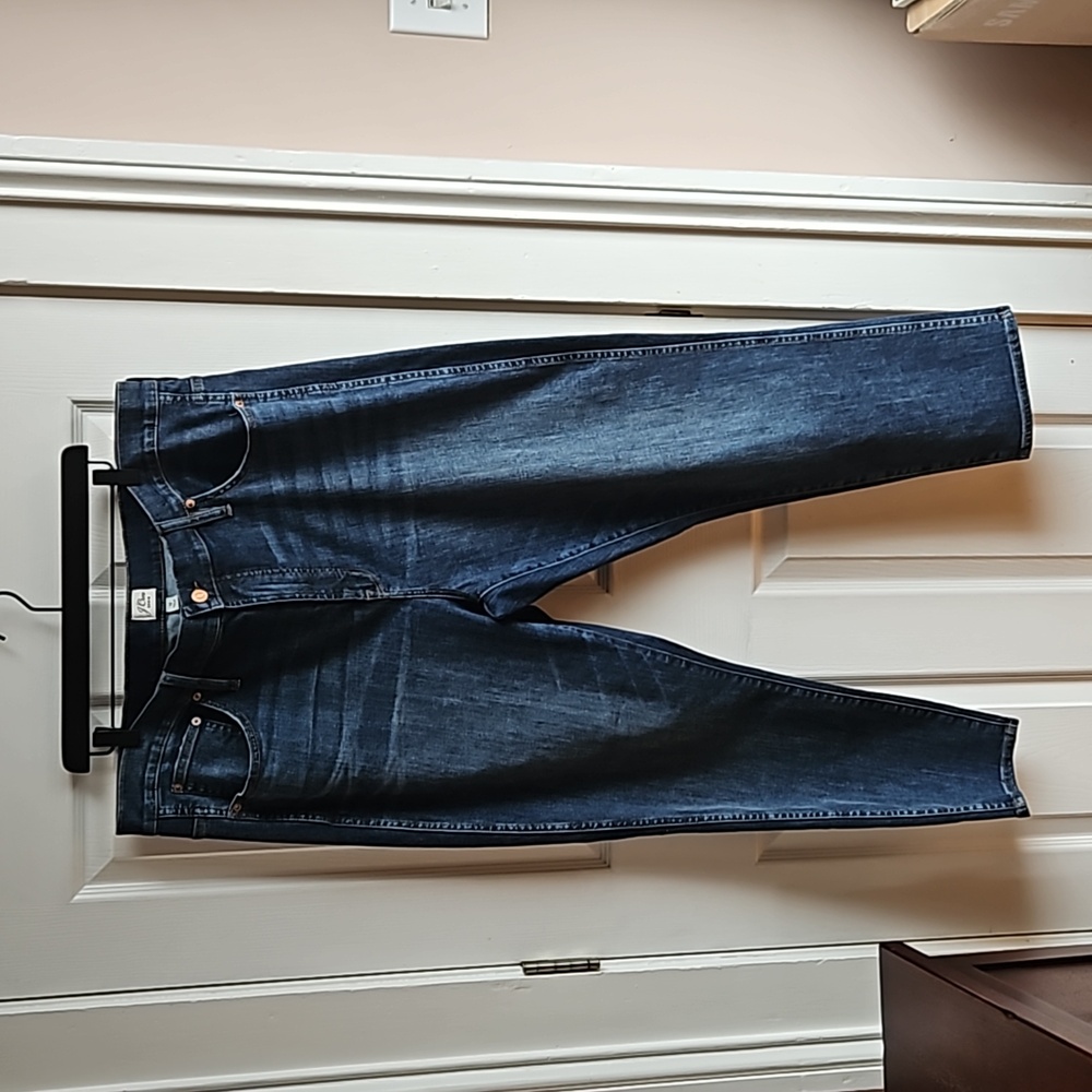 J CREW denim